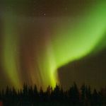 Une aurore boréale composée de lumière rouge et verte, observée au-dessus de la silhouette de sapins. Le phénomène, qui parait tout proche, se produit en fait à une altitude d'une centaine de kilomètres