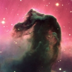 La majestueuse nébuleuse de la tête de cheval se cabre fièrement dans la constellation d’Orion, à quelque 1400 années-lumière de la Terre. Bombardée en permanence par les atomes ionisés de la région H II d’arrière-plan, elle disparaîtra d’ici quelques milliers d’années, une très brève durée à l’échelle cosmique. On achève bien les têtes de chevaux…