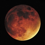 Voici à quoi pourrait ressembler la Lune ce mardi 4 mai 2004 à 22 h 30. Cette image a en effet été réalisée lors de l’éclipse de la nuit du 20 au 21 janvier 2000, qui présentait une géométrie assez similaire, avec passage du limbe nord de la Lune tout près du centre de l’ombre.