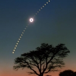 Eclipse de Soleil au-dessus des acacias
