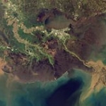 Cette image satellite à haute résolution (Terra/MODIS) montre des sédiments du fleuve Mississipi se jeter dans le golfe du Mexique. Le Lac Pontchartrain se trouve en haut au centre de la photo