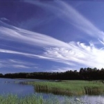 Les fins cirrus de haute altitude comme ceux représentés ici sont le lieu de formation des cristaux de glace qui créent les halos.