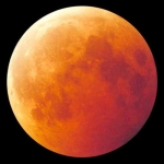 Image prise à l'occasion de l'éclipse de Lune du 27 septembre 1996. Cette belle teinte cuivrée devrait être également présente sur notre satellite naturel dans la nuit du 8 au 9 novembre 2003