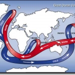 La circulation océanique mondiale est alimentée par le déplacement vers les profondeurs des masses d’eaux les plus froides, plus denses. Dans l’Atlantique, le déplacement de ces masses d’eaux froides fait remonter vers le Nord les eaux de surface réchauffées au niveau de l’équateur.