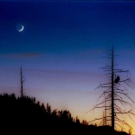 Croissant de lune et lumière cendrée photographiés au dessus du parc national de Yosemite en octobre 2004 