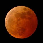 La Lune éclipsée. Sur la Lune, le sol devient rouge durant une éclipse. Cette photo a été prise par Doug Murray de Palm Beach Gardens, en Floride, durant l'éclipse totale du 27 octobre 2004