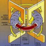 Schéma d'un Tokamak vu en coupe