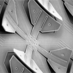 Les micro cils vus au microscope à balayage électronique