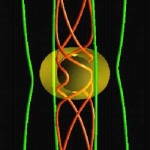 Illustration en 3 dimensions de la façon dont les lignes de champ magnétique du plasma s’enroulent à la périphérie d’un trou noir, suivant les distorsions de l’espace induites par la masse de ce dernier. La sphère noire au centre représente le trou noir proprement dit, et l’ovale jaune délimite la région déformée par la rotation du trou noir. les lignes rouges matérialisent les lignes de champ se frayant un chemin au milieu de ce chaos tourmenté de matière, libérant une énergie phénoménale. Enfin, les lignes vertes figurent les lignes de champ provisoirement situées à l’écart du maelström, mais qui vont finir par succomber à son attraction.