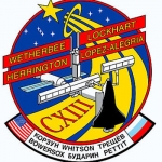 Logo officiel de la mission STS-113.