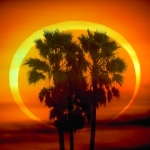 Eclipse annulaire de Soleil immortalisée par Dennis Mammana en janvier 1992, à l'aide de filtres photographiques appropriés.