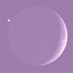 Simulation de ce qui sera visible ce soir aux jumelles au moment ou Vénus s'apprêtera à glisser sous la partie non éclairée du globe lunaire