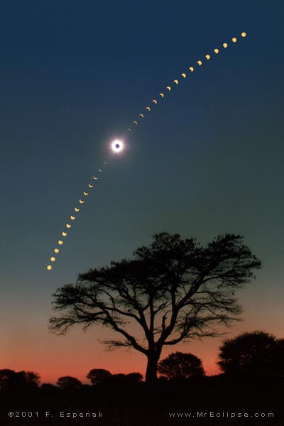 Eclipse de Soleil au-dessus des acacias