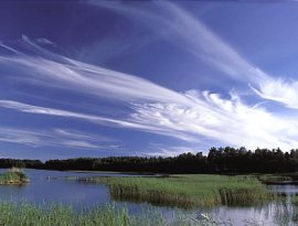 Les fins cirrus de haute altitude comme ceux représentés ici sont le lieu de formation des cristaux de glace qui créent les halos.