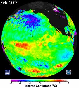 Carte de température des eaux de surface prise en février 2003. On y voit clairement apparaître les eaux plus froides émergeant depuis les côtes de l’Amérique du Sud. Un signe précurseur de la Niña ? Bill Patzert le pense.