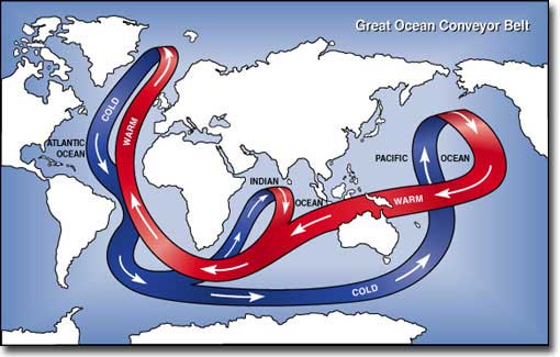 La circulation océanique mondiale est alimentée par le déplacement vers les profondeurs des masses d’eaux les plus froides, plus denses. Dans l’Atlantique, le déplacement de ces masses d’eaux froides fait remonter vers le Nord les eaux de surface réchauffées au niveau de l’équateur.