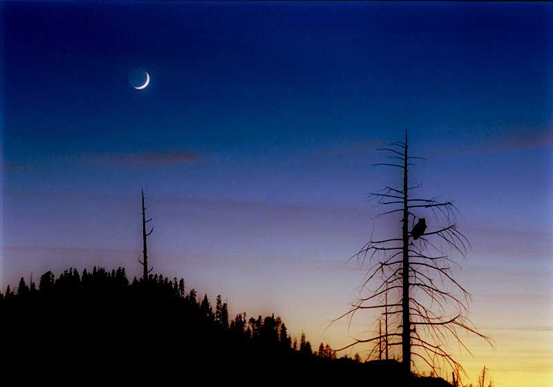 Croissant de lune et lumière cendrée photographiés au dessus du parc national de Yosemite en octobre 2004 