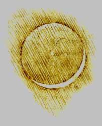 Croquis de croissant lunaire et de lumière cendrée consigné de la main de Léonard de Vinci dans le codex Leicester