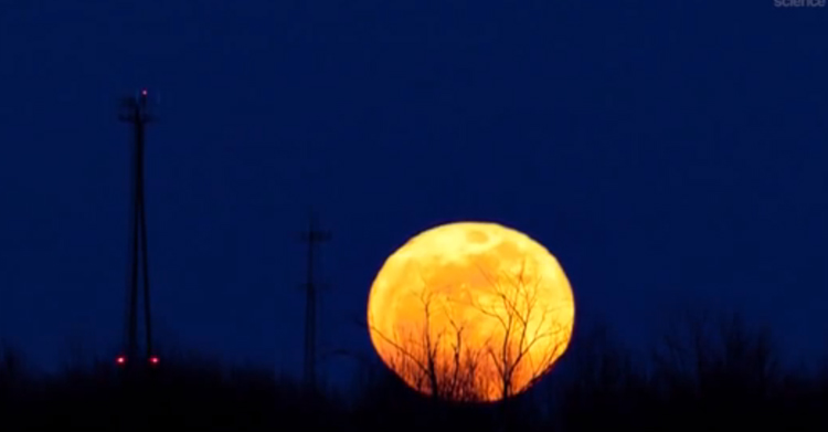 Lune des Moissons, sors ton Massey-Fergusson ! (proverbe issu de la sagesse populaire limousine)