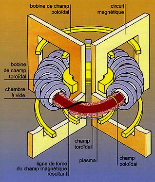 Schéma d\'un Tokamak vu en coupe