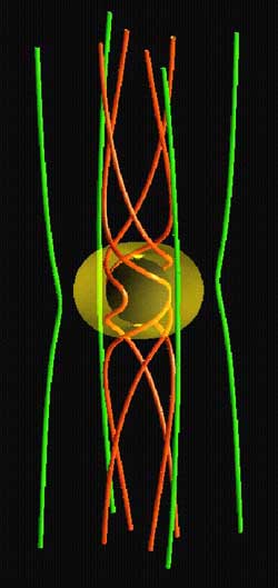 Illustration en 3 dimensions de la façon dont les lignes de champ magnétique du plasma s’enroulent à la périphérie d’un trou noir, suivant les distorsions de l’espace induites par la masse de ce dernier. La sphère noire au centre représente le trou noir proprement dit, et l’ovale jaune délimite la région déformée par la rotation du trou noir. les lignes rouges matérialisent les lignes de champ se frayant un chemin au milieu de ce chaos tourmenté de matière, libérant une énergie phénoménale. Enfin, les lignes vertes figurent les lignes de champ provisoirement situées à l’écart du maelström, mais qui vont finir par succomber à son attraction.