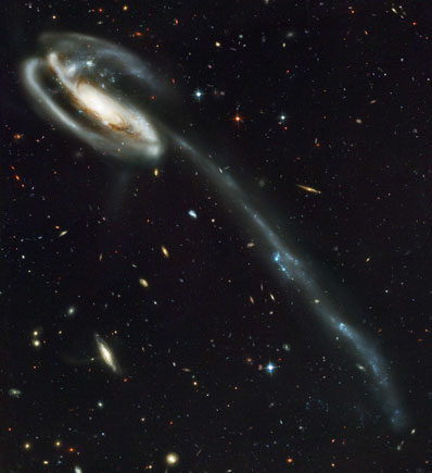 La  «galaxie du têtard», UGC 10214, sur fond de galaxies primordiales. Profondeur de champ : 12,5 milliards d’années... Les zones bleutées dans le bras détaché de la galaxie correspondent à des zones de formation d’étoiles, engendrées par l’onde de choc de la collision.
