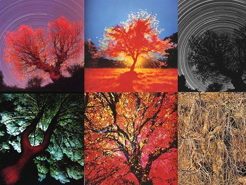 Un magnifique ouvrage à offrir ou à s\'offrir sans hésitation. Tout simplement superbe Un magnifique ouvrage à offrir ou à s\'offrir sans hésitation. Tout simplement superbe