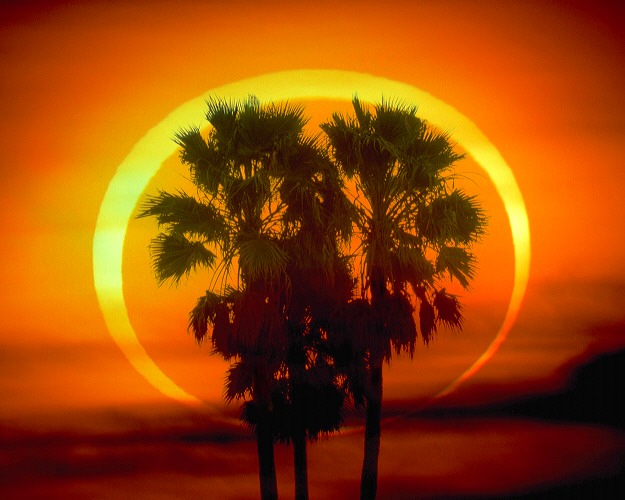 Eclipse annulaire de Soleil immortalisée par Dennis Mammana en janvier 1992, à l\'aide de filtres photographiques appropriés.