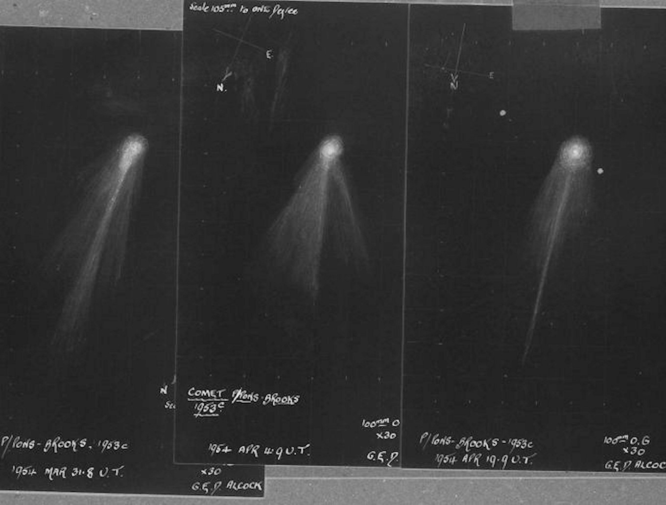 Dessins de la comète 12P/Pons Brooks lors de son passage de 1954