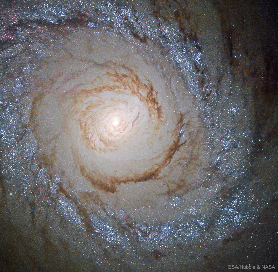 La belle île-univers Messier 94 se trouve à seulement 15 millions d\'années-lumière dans la constellation septentrionale des Chiens de chasse (Canes Venatici).